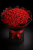 VELVET ROMANCE